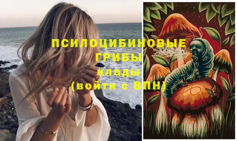 Псилоцибиновые грибы MAGIC MUSHROOMS  даркнет клад  Амурск 